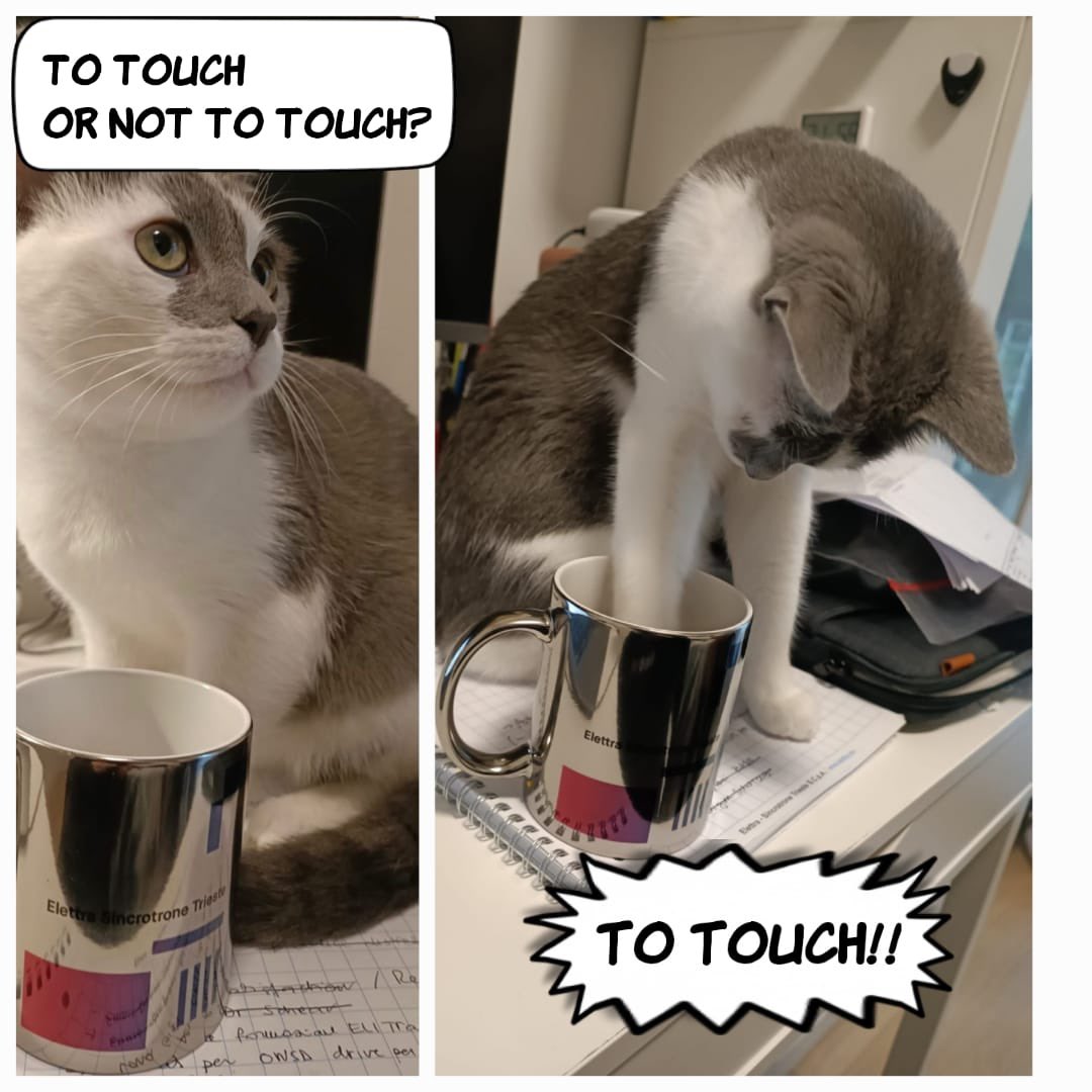 New year, new contest… new cat!!! 😻😻😻 It’s hard to resist to our shiny mug, also for cats!!! 😽😽😽 Vote for our mug, and all the cats of the world will be happy!!!