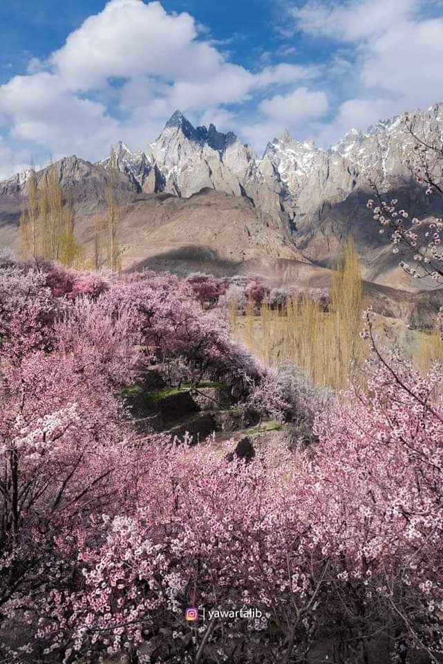 مچلو (گلگت بلتستان) میں موسمِ بہار کا دلکش منظر
#dek67 #TOKEN2049 #explorepakistan #LCDLF4