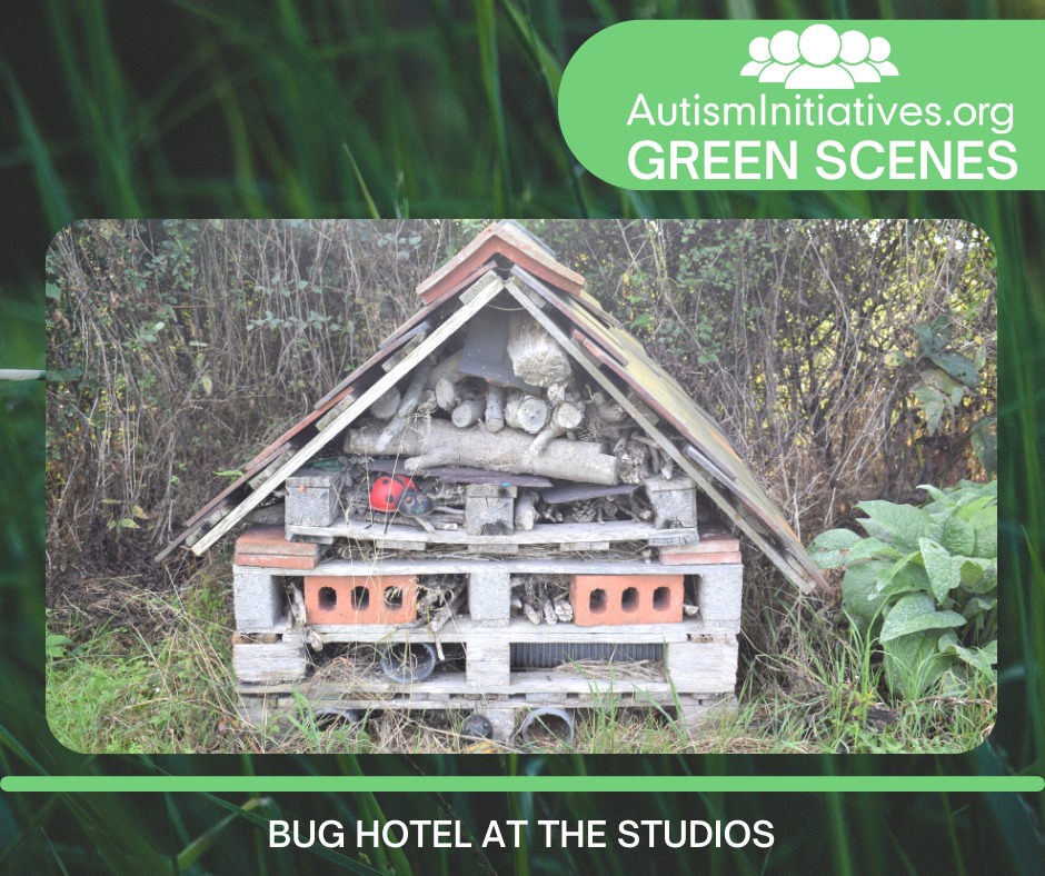 #GreenScenes The team at The Studios are helping garden wildlife to thrive with the bug hotel that they've built 🐛🐞🐝🐜 The sheltered area provides a safe, cosy hideaway for insects and other minibeasts. It also means that the team can make use of their garden waste.