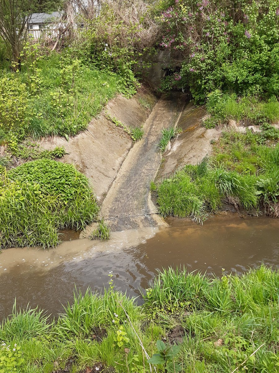 WIOS_Lodz's tweet photo. 📌15.04.2024 Zgłoszenie zanieczyszczenia rz.  Olechówki. @WIOS_Lodz podjął czynności🕵️‍♀️ w terenie.  GIOŚ CLB w Łodzi  pobrało próby wody do badań🔬. 
W czynnościach uczestniczyli: PSP 🚒, Straż Miejska👮, Wydział Gospodarki Komunalnej UM Łodzi oraz ZWiK w Łodzi. https://t.co/i7B38F0XYT