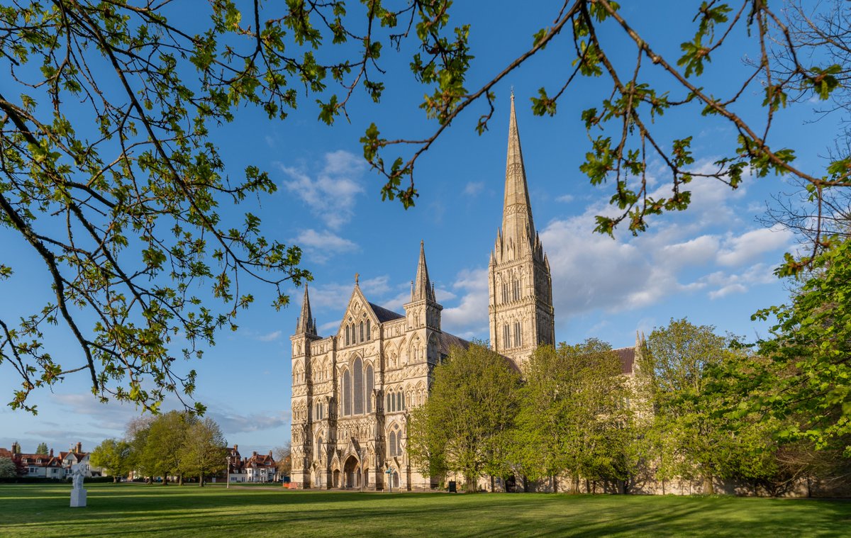 Salisbury Cathedral tweet media