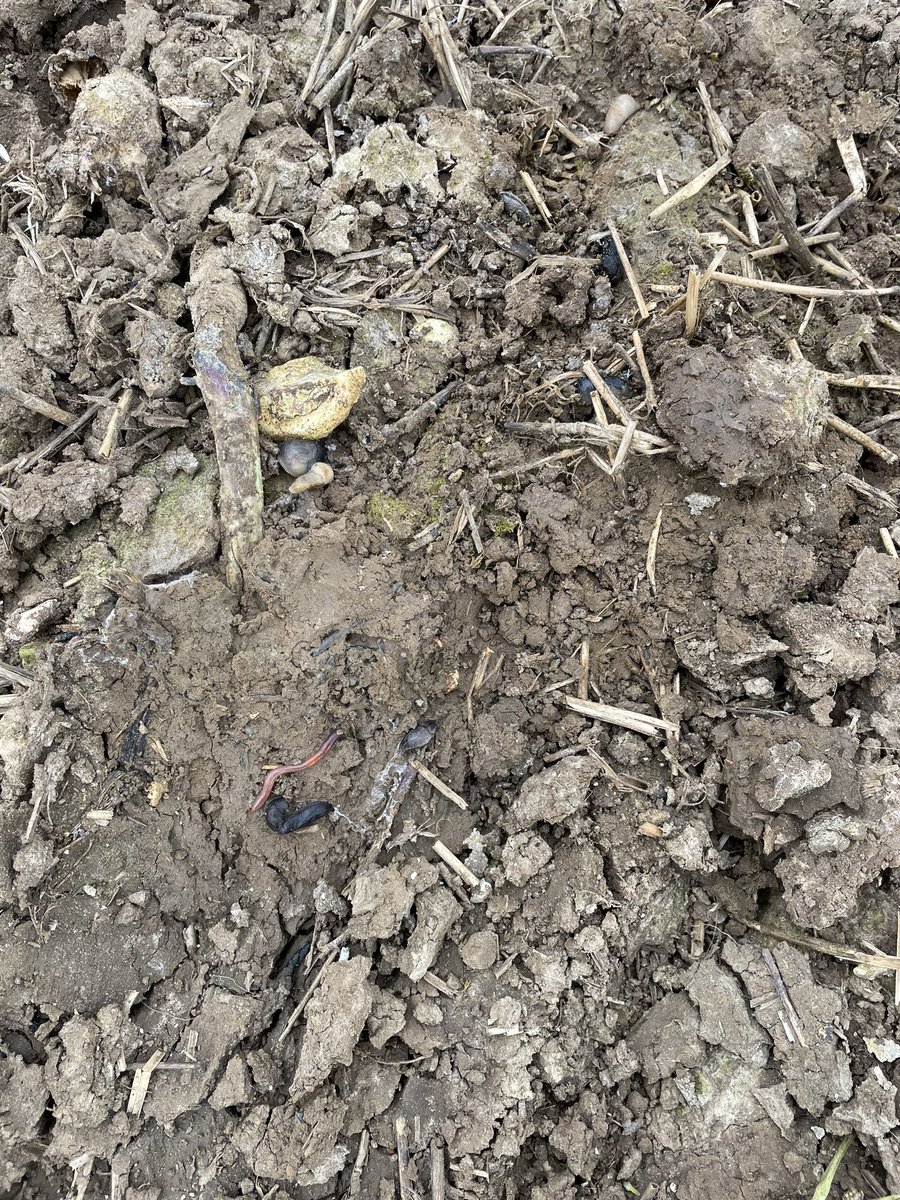 Todd Jex tweet media