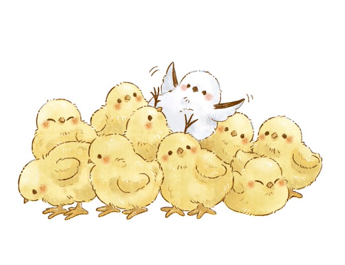 「chick too many」 illustration images(Latest)