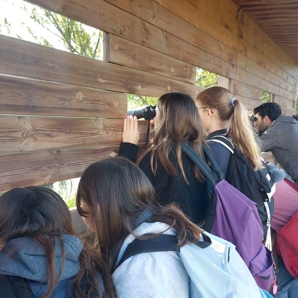 Visitem la colònia d'ocells ardeids de les Ribes del Ter amb alumnes de @InsPereRibot de Vilassar de Mar @museudelter