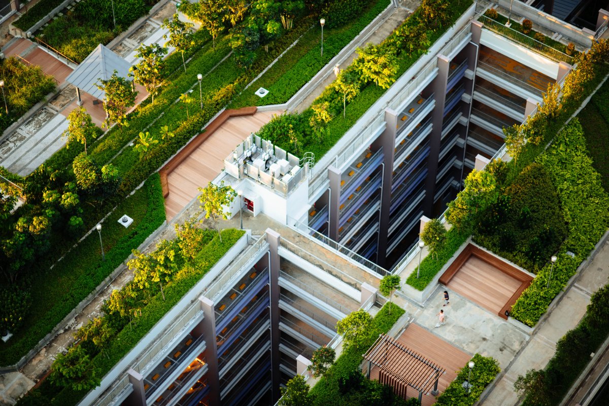 🌿 Exploring the natural beauty of green roofs! 💚 Green roofs not only add a touch of green to cities but also offer significant environmental benefits. 🌱

More information👇👀:
naturbuild.eu/en/green-roofs…

#GreenRoofs #SustainableArchitecture #EcoDesign #UrbanGreenery