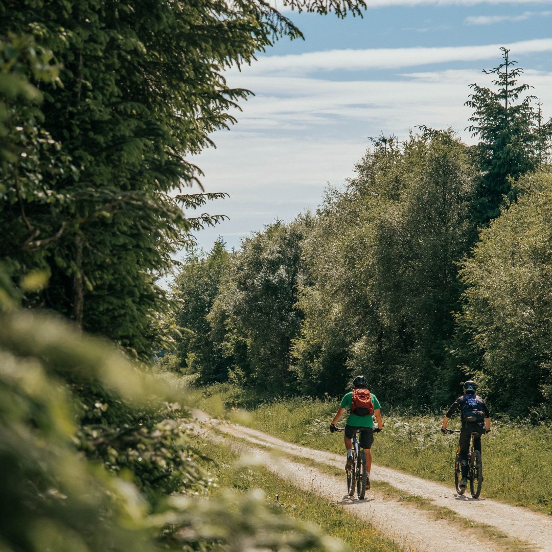 If it’s in a forest, it counts 🌳 Our brand-new #Forest450 challenge is a chance to test your trail riding in the nation’s forests and explore some new nature spots across the country 🗺️ Are you ready to ride? 👉 forestryeng.land/forest450-chal…