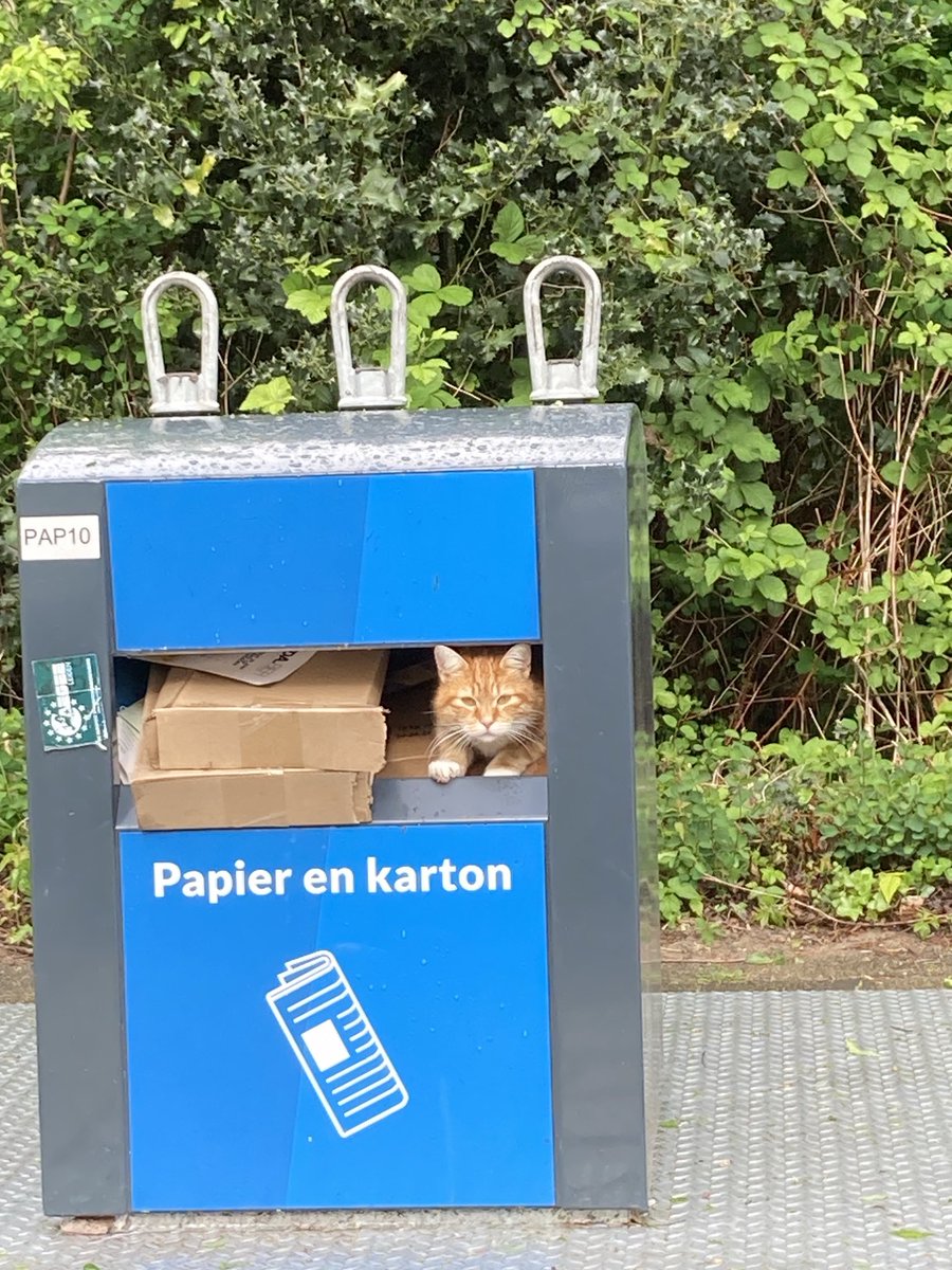 AdriaanMesu's tweet photo. Schuilen voor de regenbuien #Oegstgeest #Hofbrouckerlaan #KareltjevanLOHC https://t.co/0MQdigzSiP