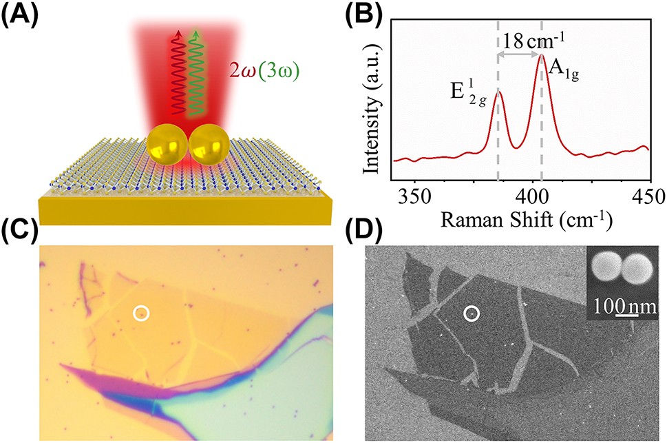 Today we're posting recent articles that have been popular on WeChat. Next up:

Giant enhancement of optical nonlinearity from monolayer MoS2 using plasmonic nanocavity

Enhancing second (SHG) and third-harmonic generations (THG) from the monolayer MoS2 using a multi-resonant Au