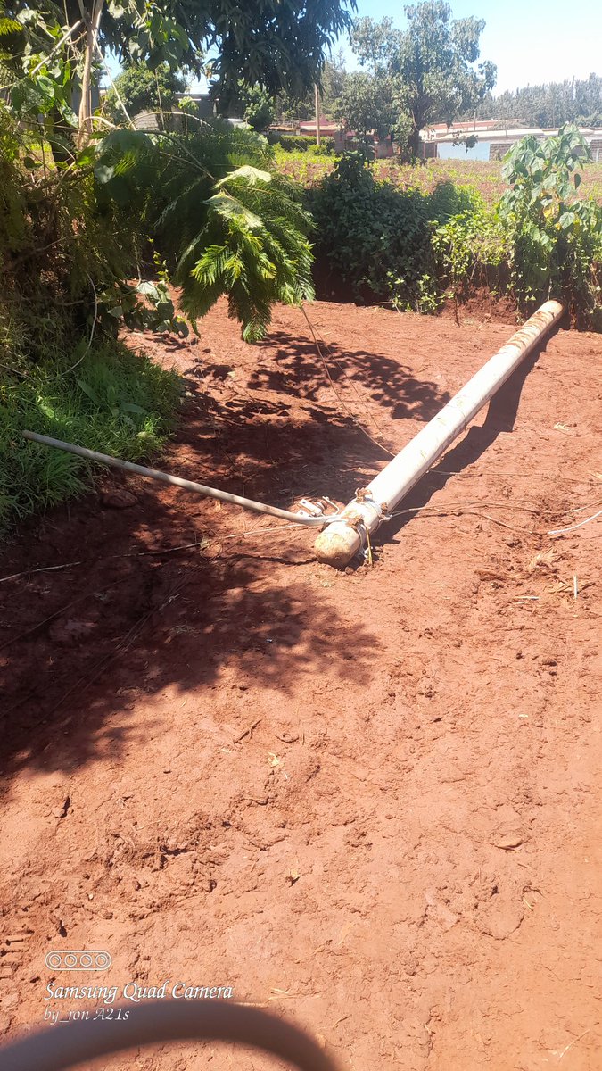 wraithofbyron's tweet photo. This is kirinyaga county, kutus area it has been like this for almost a month now blackout in the whole area @KenyaPower where are you? https://t.co/lmYFBZWYFf