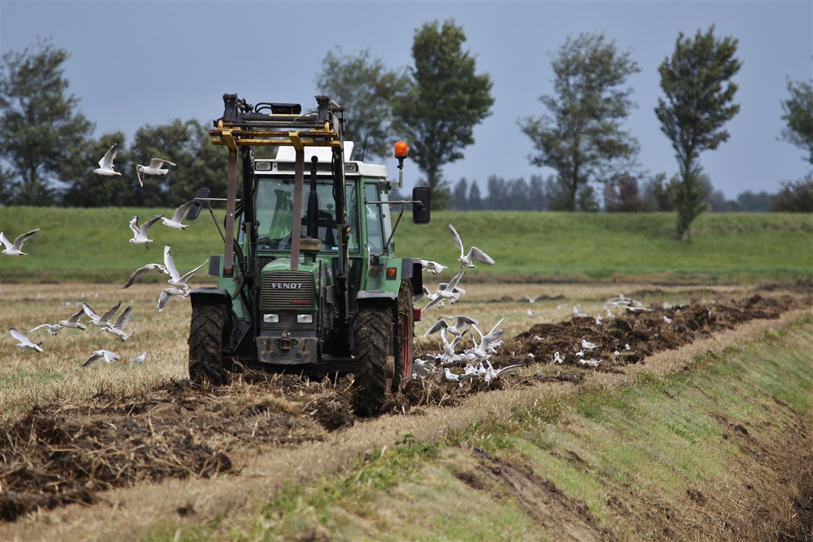 ✔️GSdinsdag Gedeputeerde Staten namen onder meer deze besluiten: - Subsidie voor project ‘Op naar een schone Zeeuwse sloot’ - Openstelling subsidieregeling Hergebruik Leegstaande Panden 2024 - Aanjaagregeling Zeeland in Stroomversnelling verlengd ➡️zeeland.nl/vergaderoverzi…