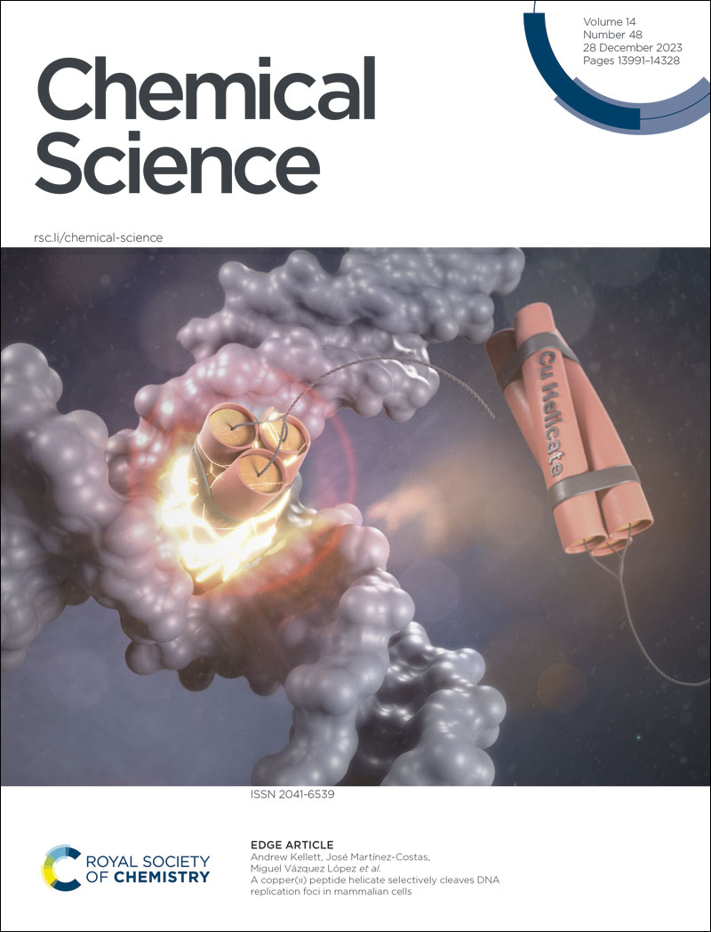The winners of the @ChemicalScience readers' favourite inside front cover from 2023 are Miguel Vázquez López and coauthors! 🎉🥳 @ciqususc @DCU Read about their Cu(II) peptide helicate that selectively cleaves DNA replication foci in mammalian cells: pubs.rsc.org/en/content/art…