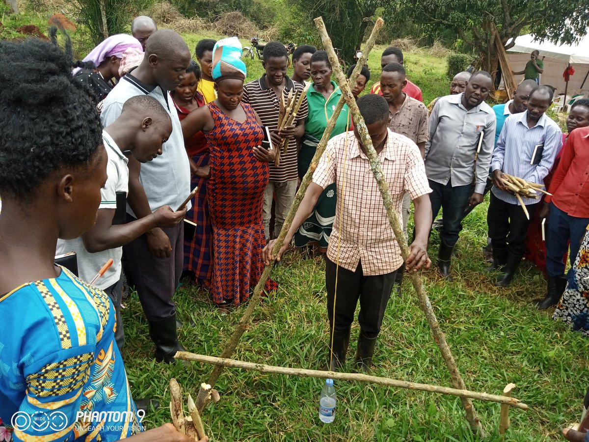 Day two of farmer training in Kamusenene village, Mubende District!!!Farmers being demonstrated how to use A-frame in the construction of hillside farming systems, as well as establishing level contours and drainage ditches. @giz_gmbh @BiovisionAfrica @PelumKenya @Afsafrica