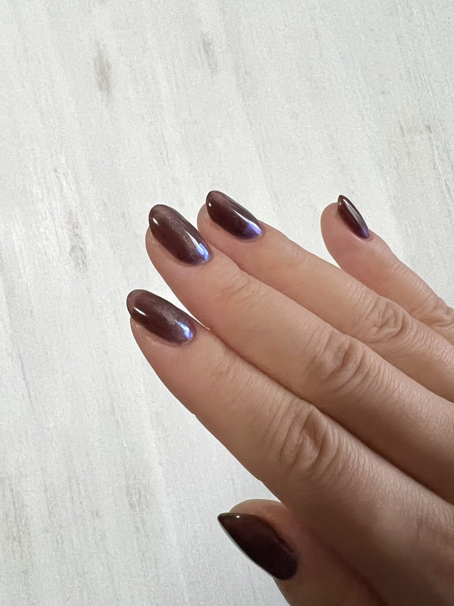 nekomgmg's tweet photo. いつぞやのマイネイル💅
マグネットはやっぱりかわいい✨

 #セルフネイル  #ジェルネイル https://t.co/3ti9IxxUh3