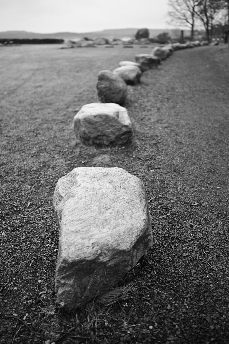 HomeWhenWalking's tweet image. 7104