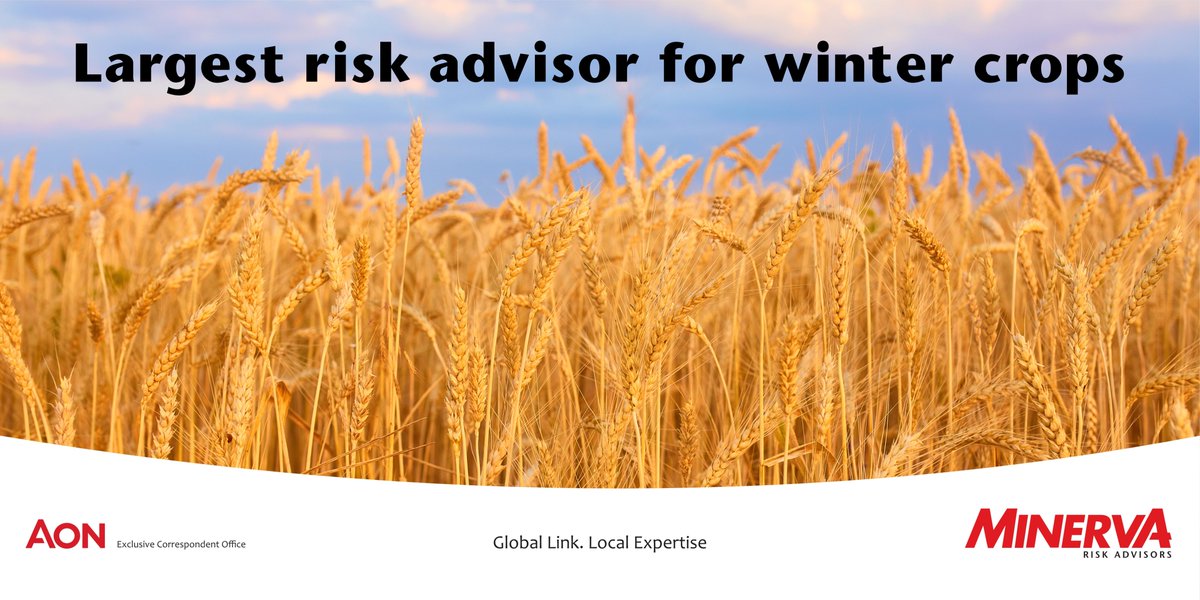 We are Zimbabwe's largest risk advisor for winter crops. Fill out a proposal form with your crop details to receive a quote for premium rates.

Our Agricultural Insurance Division is ready to assist you. Get in touch today.

#agriinsurance