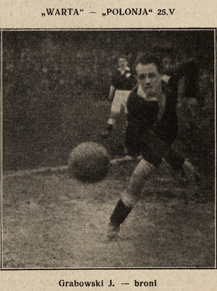 wikiPolonia tweet media