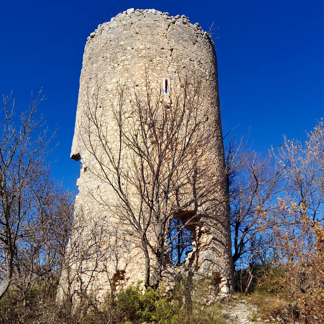 Torre che ultimo spiro rimane contralto nel bosco, dei rami le lame. Ricordami come poeta permane, quest'ultimo passo nel sole di rame. #16aprile #VentagliDiParole #poesia #BuongiornoATutti #libro #ScrivoArte