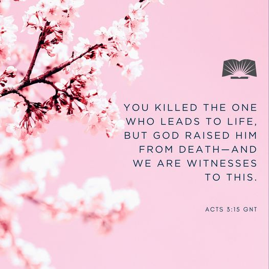 You killed the one who leads to life, but God raised him from death—and we are witnesses to this.—Acts 3:15 GNT #Scripture #DailyBibleReading #GodsWord #BibleVerse #GoodNews #Bible #Ministry #GodsLove #GodIsLove #VerseOfTheDay