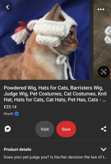 cats with jobs 🛠 tweet media