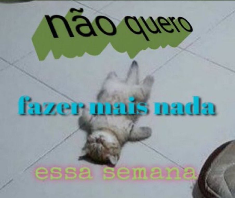 peusaantos's tweet photo. Todo dia assim https://t.co/GdJKlMou4K
