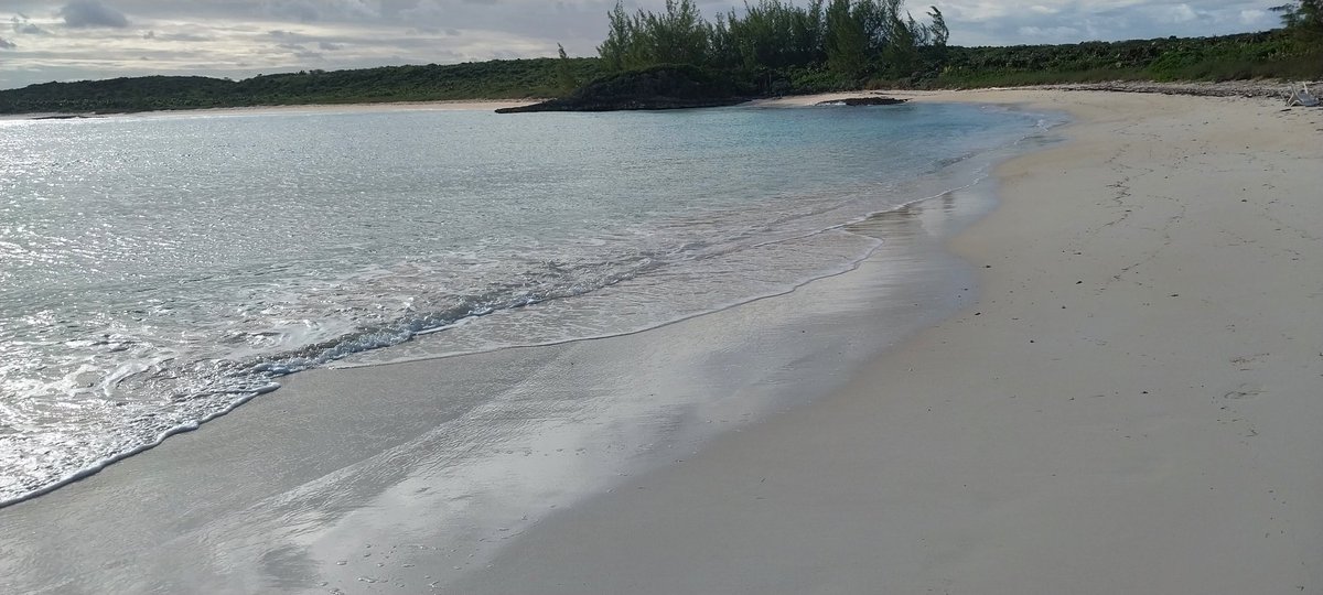 CAPT.MARKKCARTWRIGHT tweet media