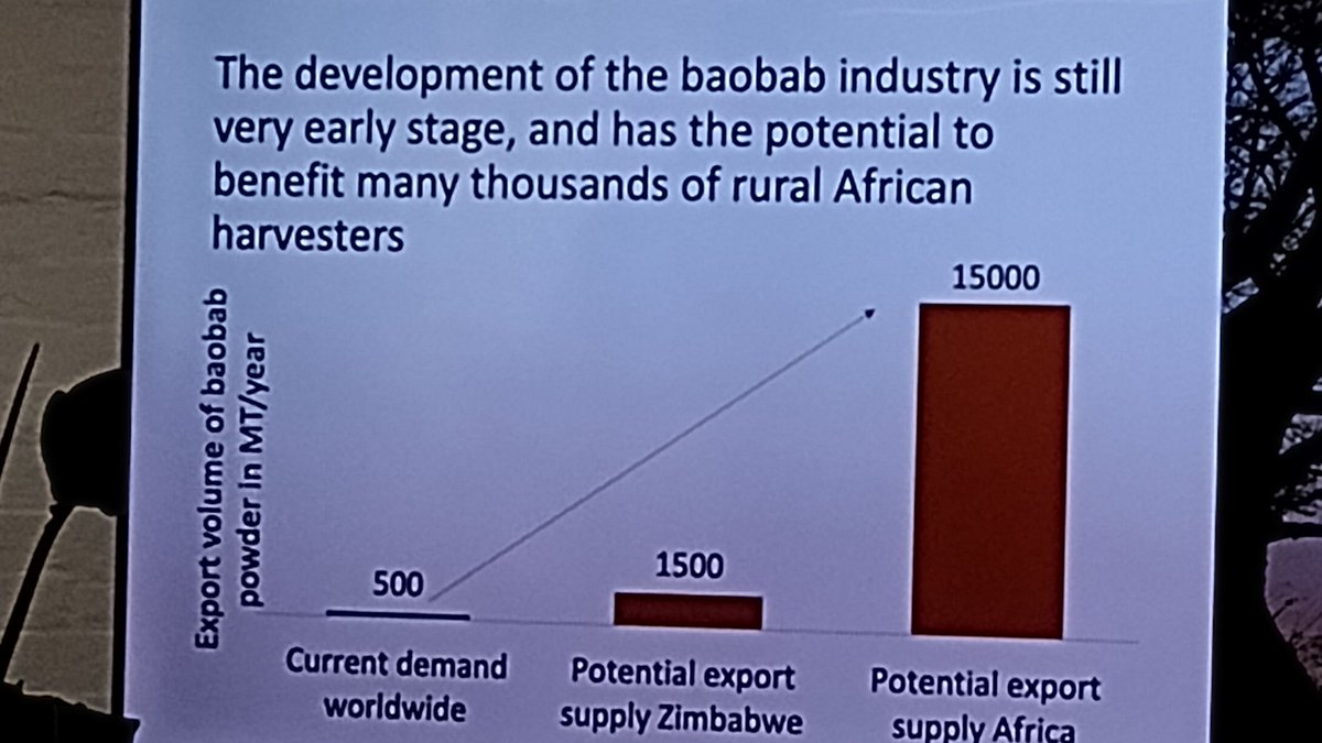 Current annual global demand for baobab powder is 500 tonnes. Potential sustainable supply is 15,000 tonnes. Great potential for Africa’s #WildlifeEconomy.