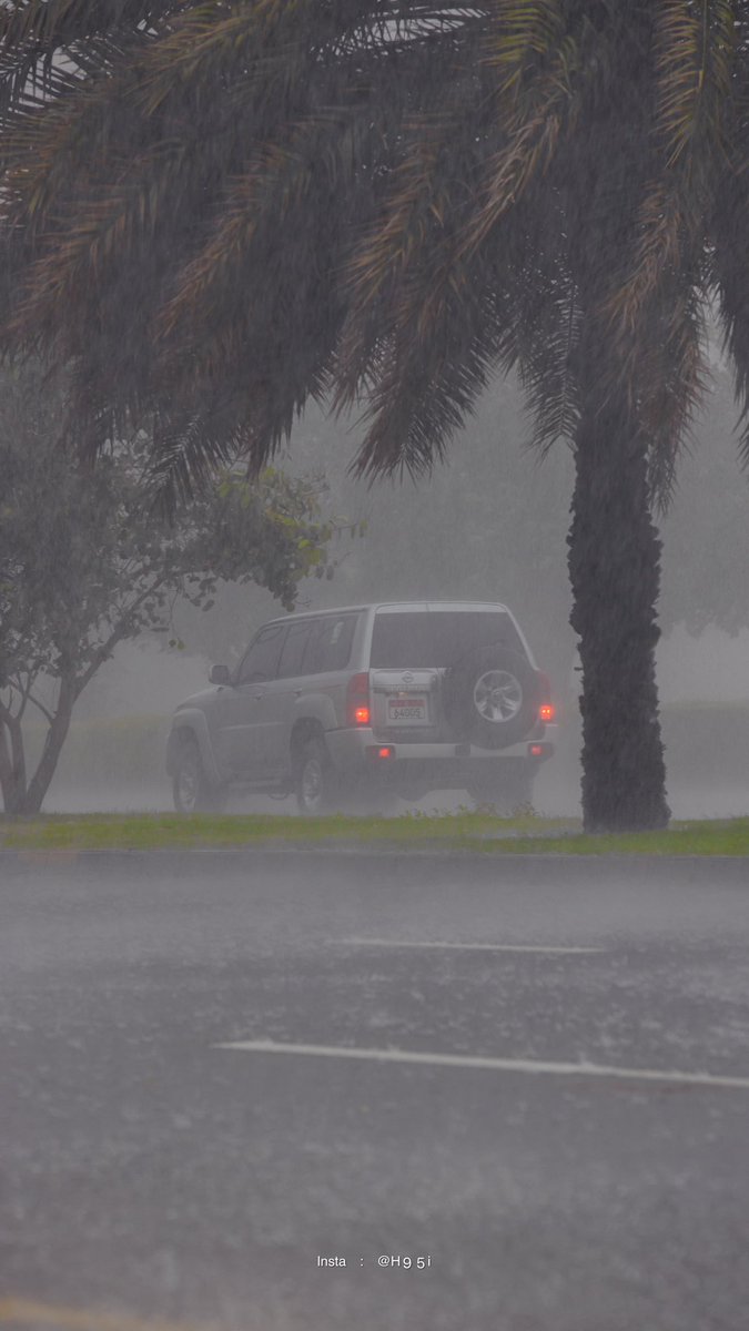 امطار مدينة العين ⛈️✨.