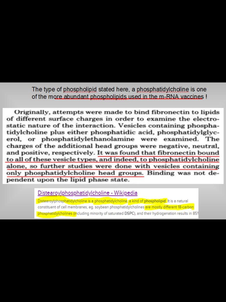 @janiesaysyay Here’s a little more voodoo that phospholipids bind to Fibronectin-Fibrinogens along with spike protein via phosphorylation...
