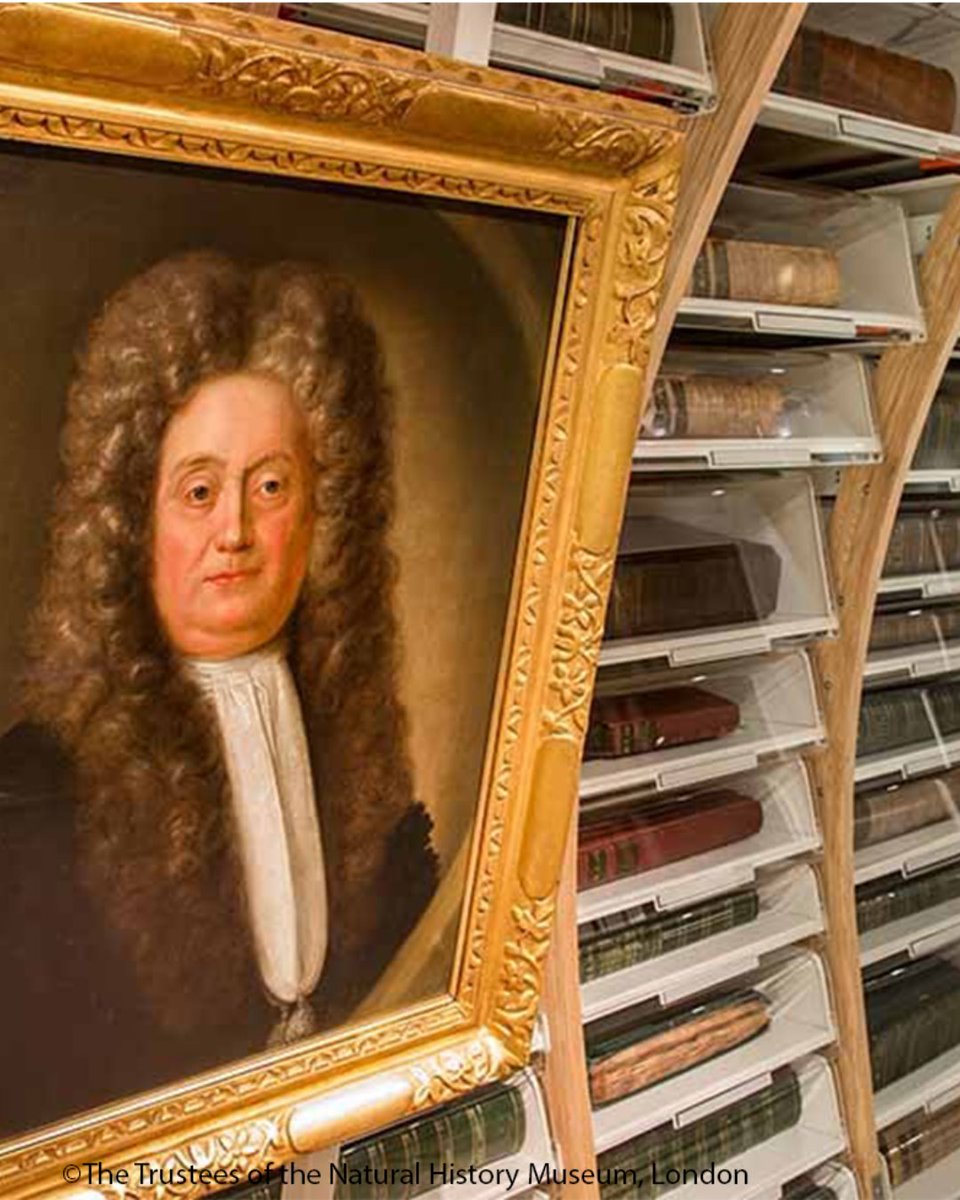 Hans Sloane was born on this day 1660. His private collections formed the basis of the British Museum, the Natural History Museum and the British Library. Learn more about his role and the collection’s origins in transatlantic slavery 👇 nhm.ac.uk/discover/news/…