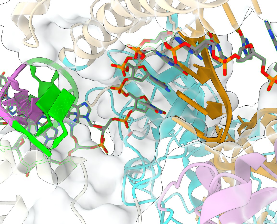Guillermo Montoya (@g1_guillermo) on Twitter photo Please retweet !!
A postdoctoral position available in my lab 👇
candidate.hr-manager.net/ApplicationIni…
funded by a <a href="/novonordiskfond/">Novo Nordisk Foundation</a> Distinguished Innovator grant. Come and join us !! Please retweet !!
A postdoctoral position available in my lab 👇
candidate.hr-manager.net/ApplicationIni…
funded by a <a href="/novonordiskfond/">Novo Nordisk Foundation</a> Distinguished Innovator grant. Come and join us !!