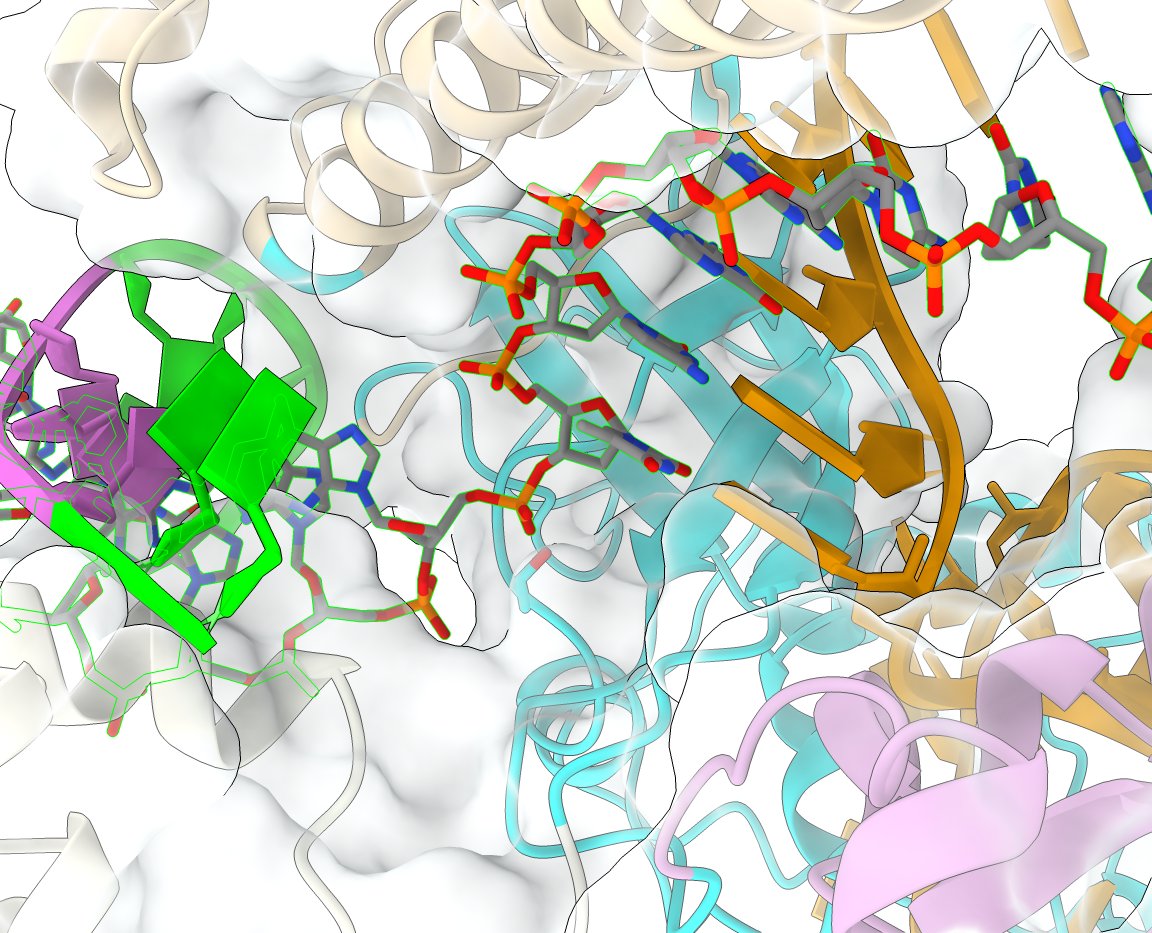 Please retweet !! A postdoctoral position available in my lab 👇 candidate.hr-manager.net/ApplicationIni… funded by a @novonordiskfond Distinguished Innovator grant. Come and join us !!