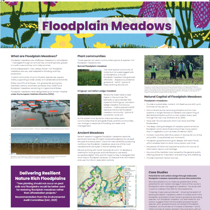How we use our land without damage is explored today at the @BESPolicy #LandUseSummit . The multifunctional value of floodplain meadows & the work of @Floodplainmead is on display as part of the conversation of the role of ecologists with land use. bit.ly/3xDvEgm