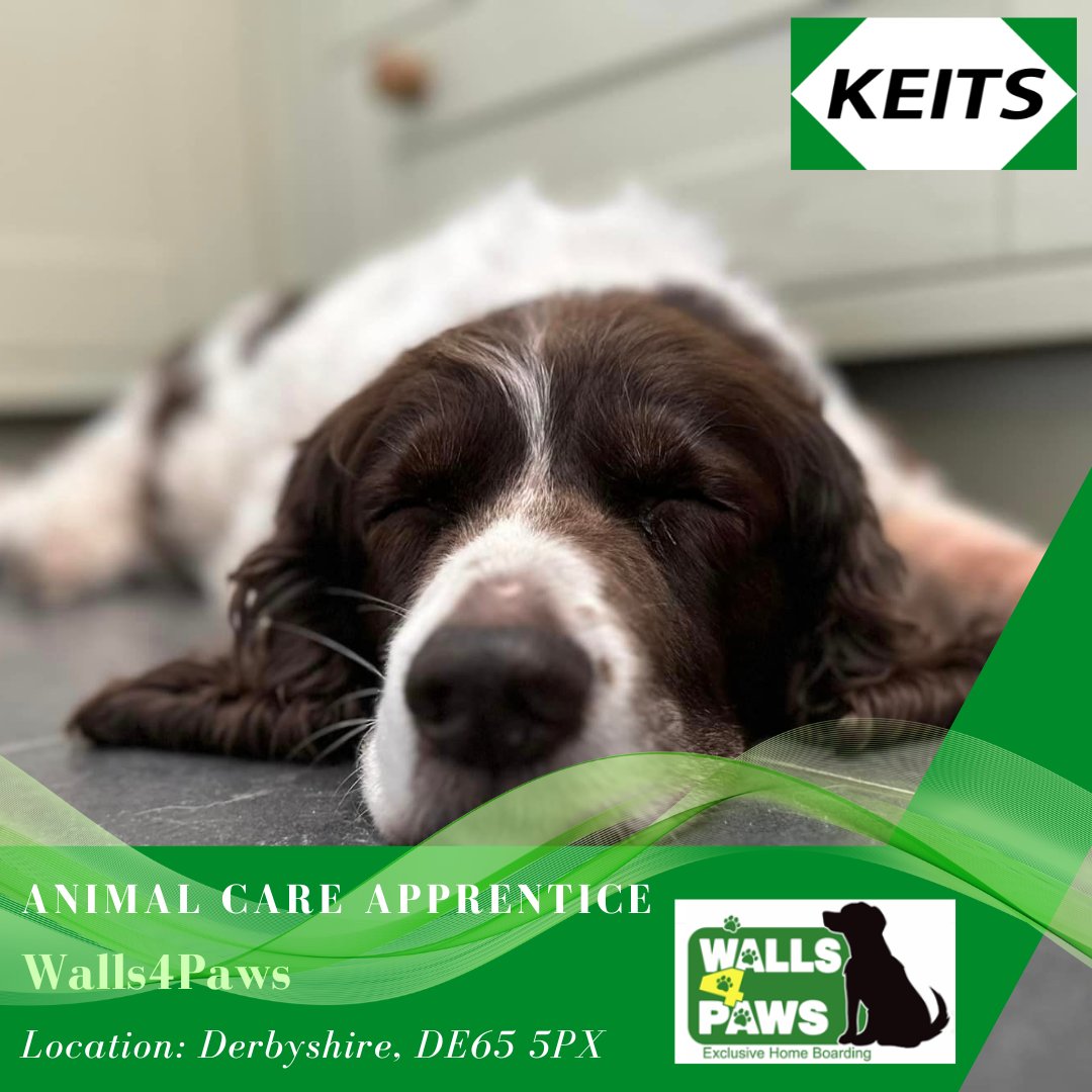 NEW Animal Care Vacancy in Derbyshire!

Walls4Paws Exclusive Home Boarding and Doggie Day Care and Gables Equestrian Livery yard are recruiting. 

Apply Now👉keits.co.uk/apprentice_vac…

#apprenticeship #animalcare #animalcarejobs #jobsinderbyshire #dogandhorses