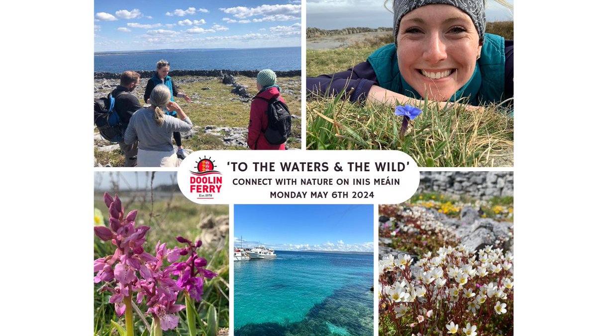 To The Waters And The Wild - Mon, May 6th Event organised by Doolin Ferry for Burren Wellness Month. Connect with yourself & nature on Inis Meáin. Soak up the stunning sea vistas on a guided wildflower walk with Aedín Ní Thiarnaigh. More info: rezgo.me/Hb8