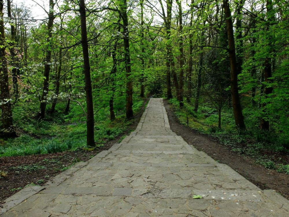 CHORLEY 14-04-24. 
Astley Park.
Into the woods.
#Chorley #AstleyPark #Lancashire #woodland #landscapephotography