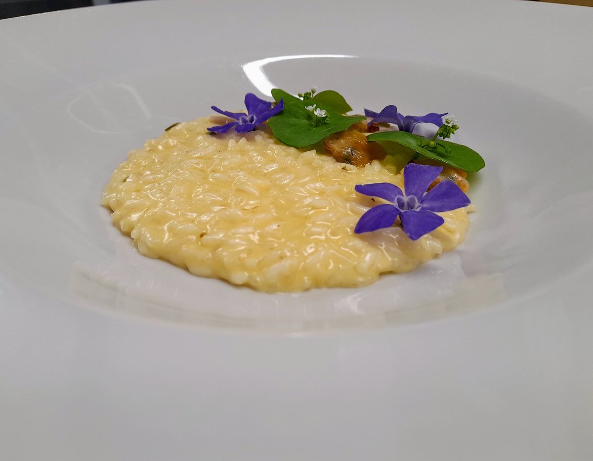 Risotto vongole over seea bass carpaccio