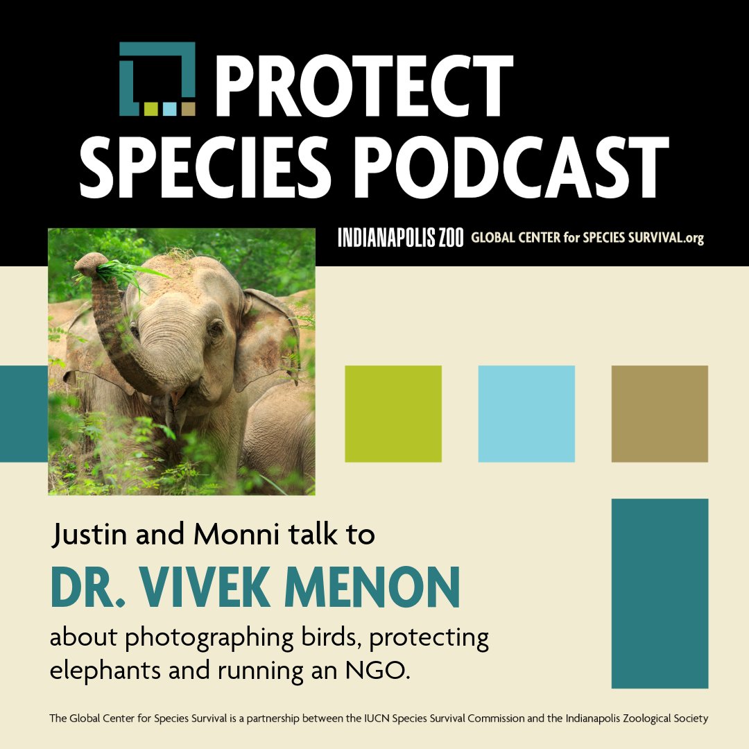 Tune in to the @ProtectSpecies Podcast by the Global Center for Species Survival featuring, #WTI founder & ED, @vivek4wild  as he discusses his experiences photographing birds, safeguarding elephants & our conservation efforts in India.  

Link: youtube.com/watch?v=zswC9U…