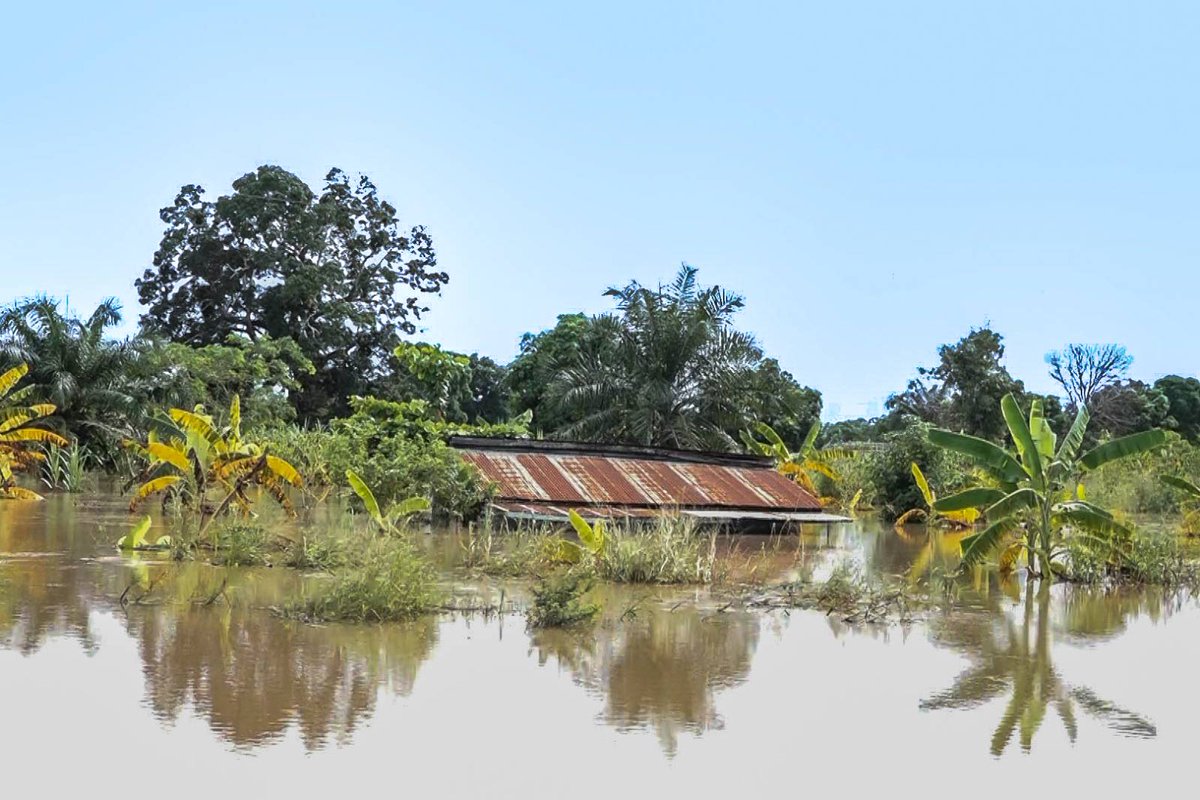 It is a known fact that climate change will continue to cause changes in precipitation patterns and the floods disaster will continue affect the world. We need to consider preparedness in a more diversified manner. @StartNetwork @Plan_tanzania @Forumcctza @CAN_Tanzania