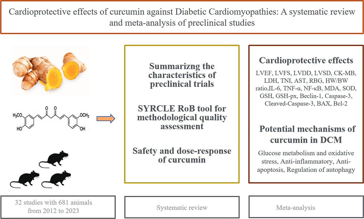 Curcumin may exert cardioprotective effects in diabetic cardiomyopathy through its antioxidant, anti-inflammatory, autophagy-enhancing, and anti-apoptotic effects. sciencedirect.com/science/articl…