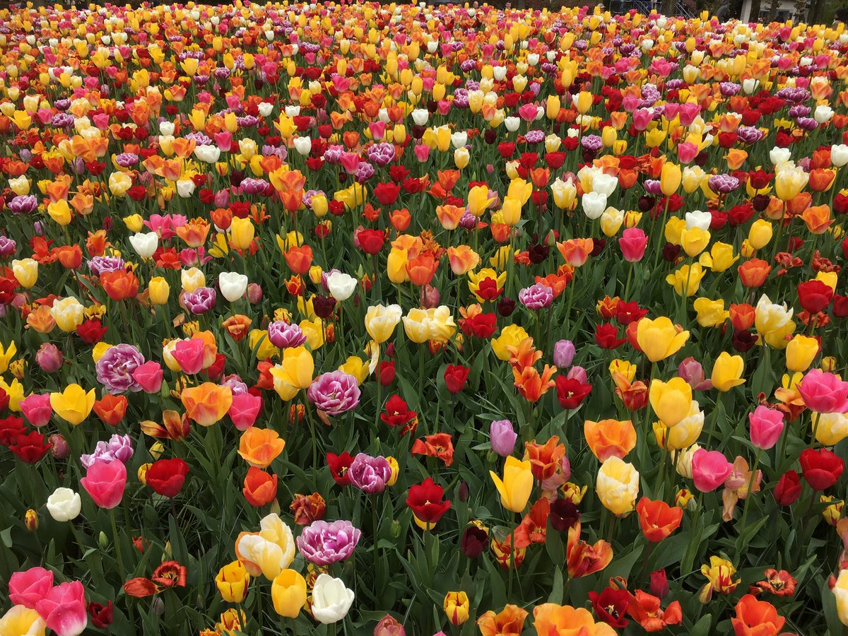 Phill Tait tweet media