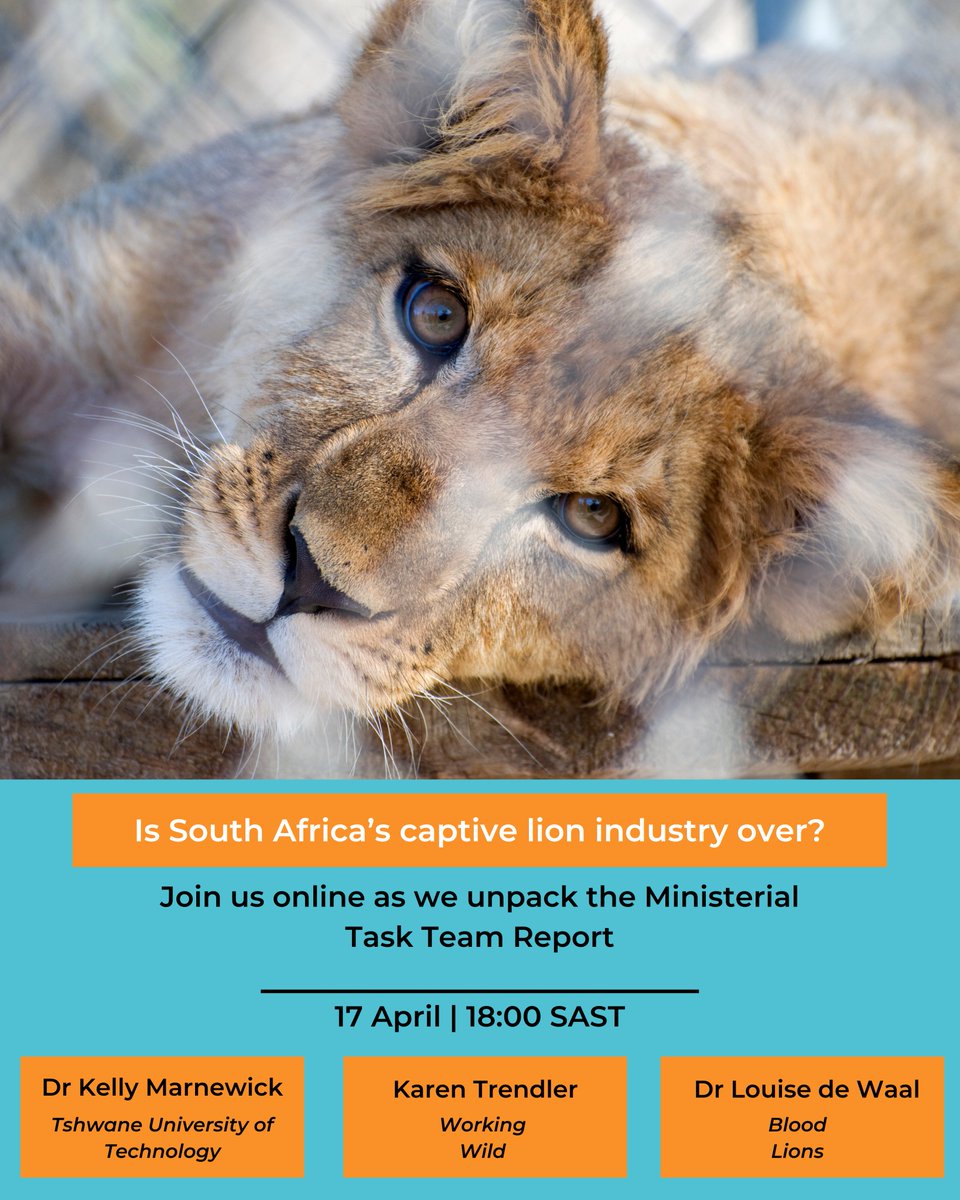 WEBINAR: Unpacking the Ministerial Task Team (MTT) Report Join us online on Wednesday, 17 April at 18:00 as we look at the MTT report and what it means for South Africa's captive lion industry. DATE: 17 April 2024 TIME: 18h00 SAST REGISTER: us02web.zoom.us/meeting/regist…