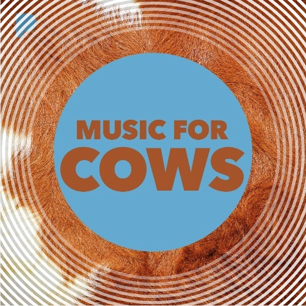 I'm over the moon to think that somewhere in America there's a cow listening to my piano track Promises! 🐮 Kudos to the genius at @pandoramusic radio who created this Music for Cows station and included my song. Listen here: pandora.app.link/4RajvLs6PIb @pandoraAMP #musicforcows