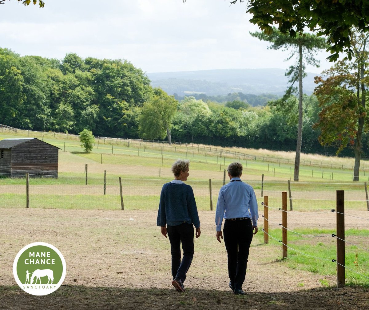 Our Sanctuary isn’t open to the public every day; we work on an appointment only basis. 
If you would like to bring your community group, charity, nursery, or care home for a tour of Mane Chance, please get in touch via the 'Contact Us' page on our website! #surreycharity #horses