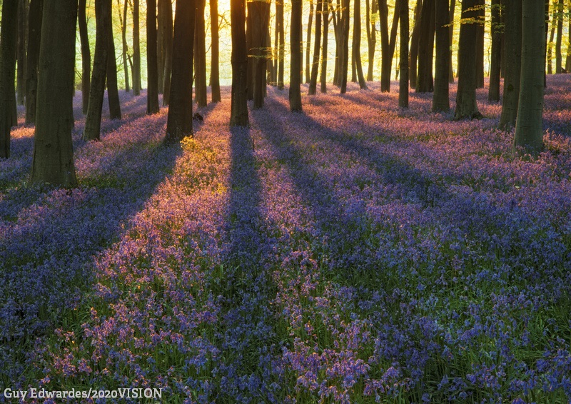 You can help protect wildlife and wild spaces by donating to a local Wildlife Trust appeal. Find out more about the vital work they do 👉 wildlifetrusts.org/appeals