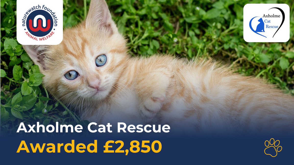 @RescueBliss 3/5 🐱 Axholme Cat Rescue has been awarded £2,850 to fund a new roof for their cattery pens and hygiene area. They’d originally raised the funds at the end of last year, but needed to spend the money on new intakes, including cats and kittens who’d been exploited for profit.