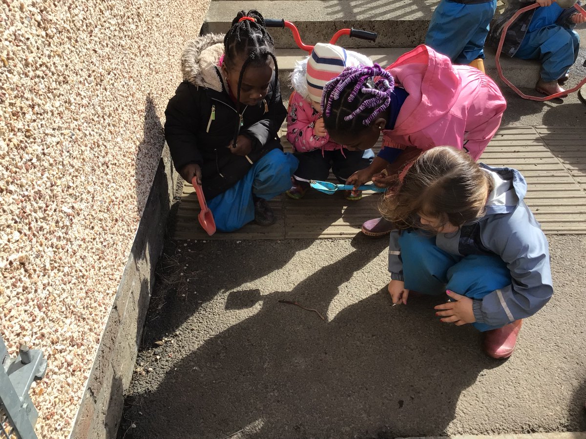 We found lots and lots of worms. Small, medium and big sized worms.