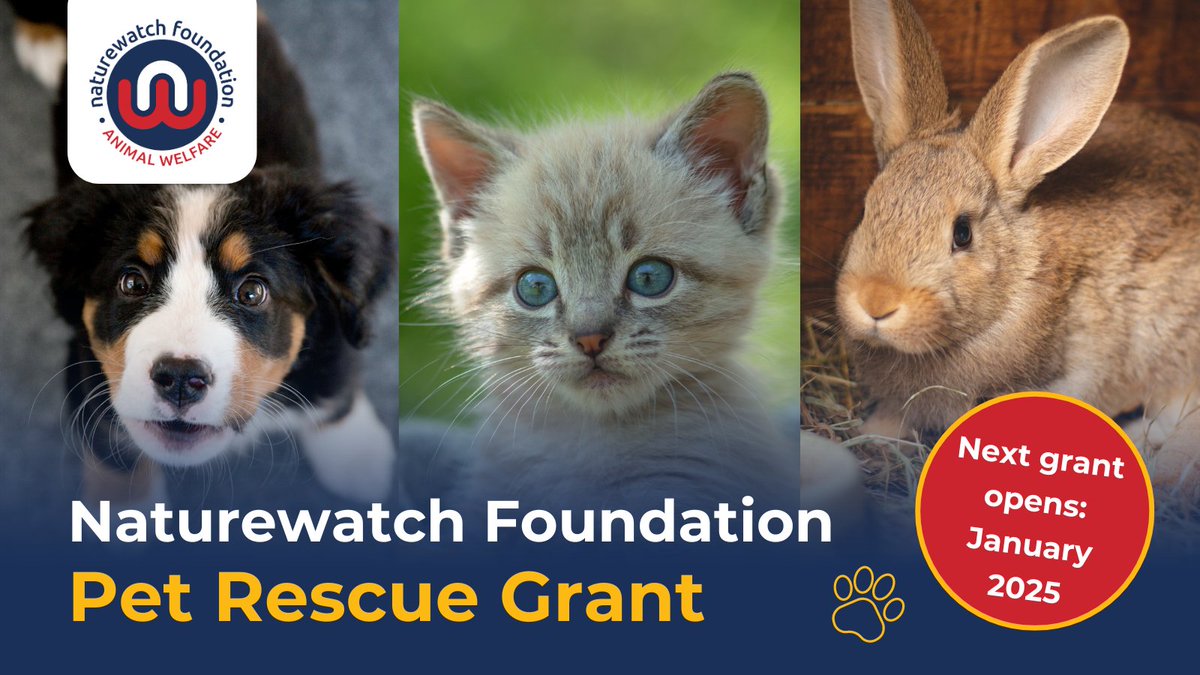 @RescueBliss @residencerescue 5/5 To find out more about each of these brilliant rescues, visit naturewatch.org/recipients-of-… Look out for updates about how they’ve used their grant later this year. 📅 Interested in applying for the #PetRescueGrant? Applications re-open in January 2025. #StopGreedBreeding