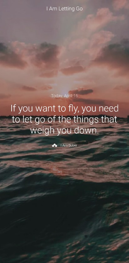 If you want to fly, you need to let go of the things that weigh you down. #iamsober