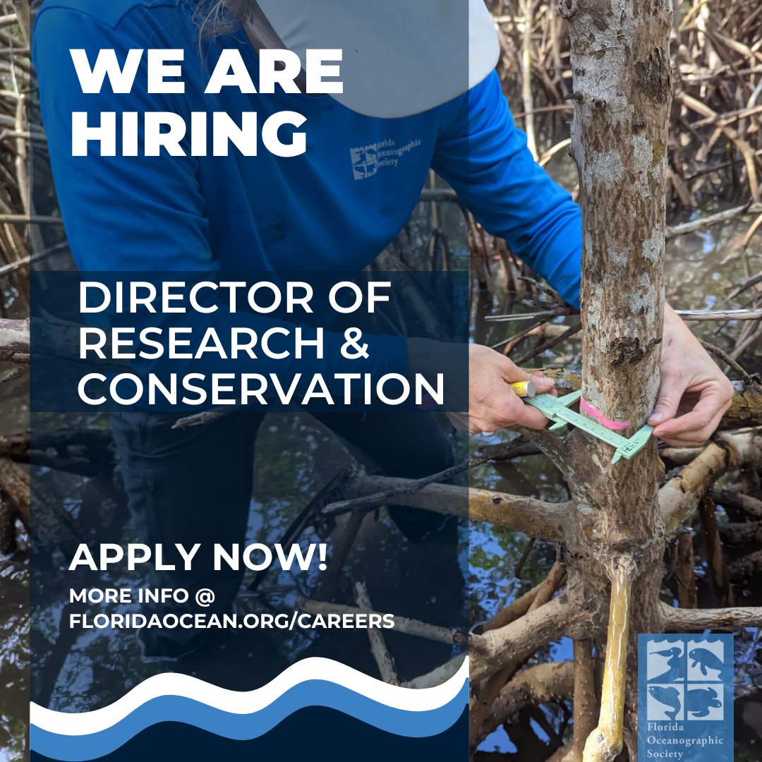 We're seeking a Director of Research and Conservation to lead our scientific endeavors. Set goals, design projects, and drive restoration efforts for water quality and estuarine species. #Research #Conservation #JoinOurTeam Apply now to join our team: ow.ly/xxp750RgckO