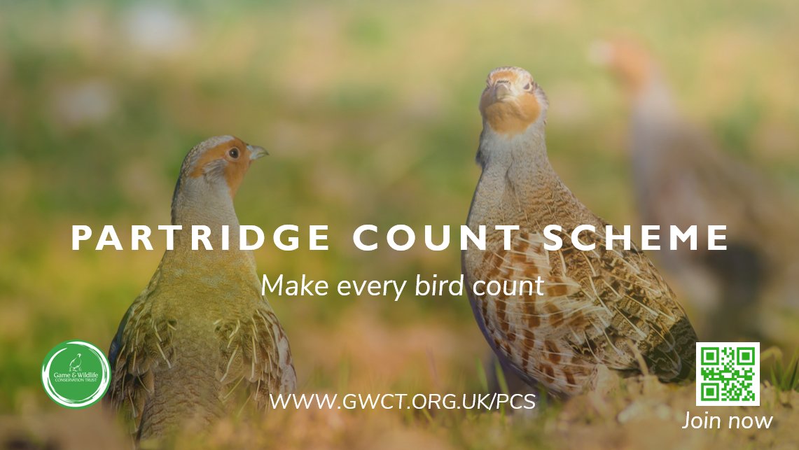 Have you joined the scheme? 🤔 The PCS is a free and voluntary scheme run by the GWCT since 1933 to collect information on the annual abundance and breeding success of grey partridges. Find out more here: gwct.org.uk/research/long-…